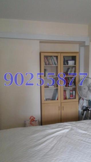 Blk 11 Farrer Park Road (Kallang/Whampoa), HDB 5 Rooms #128932762